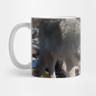 Timber Wolf Mug